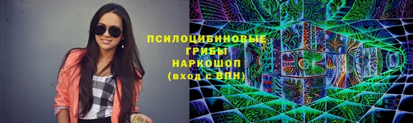 ГАЛЛЮЦИНОГЕННЫЕ ГРИБЫ Абаза