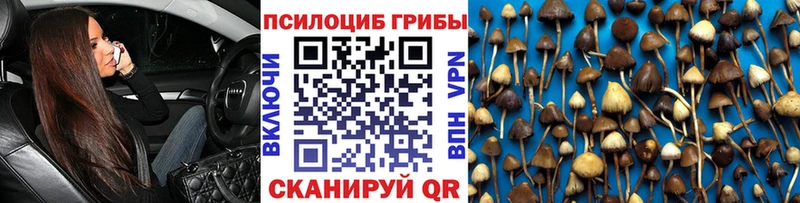 хочу наркоту  Киров  Псилоцибиновые грибы мицелий 